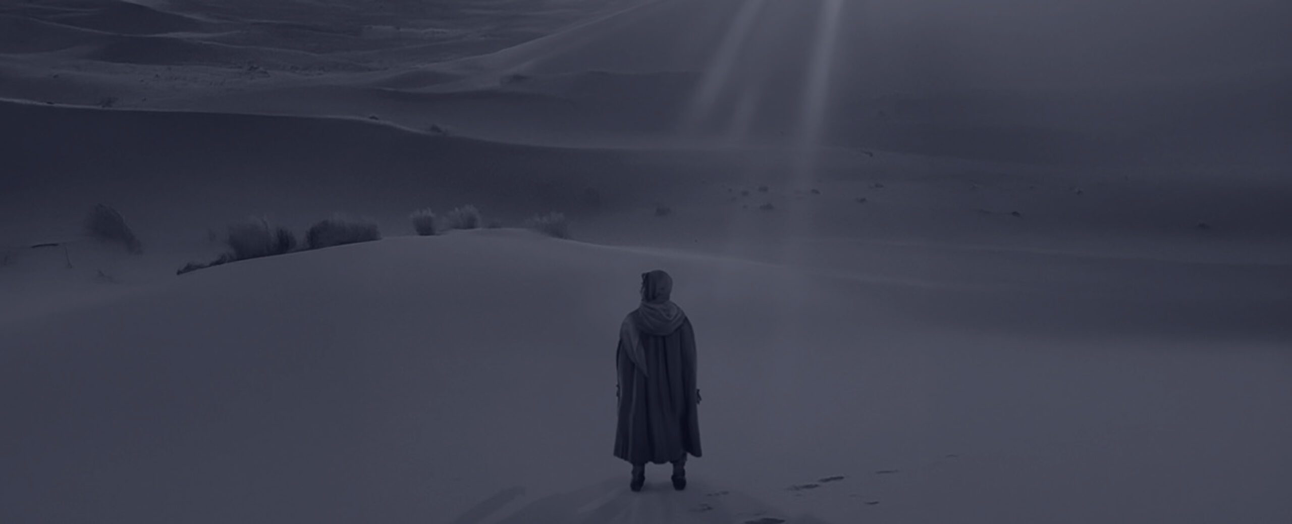 Mi visión sobre varios aspectos de la vida